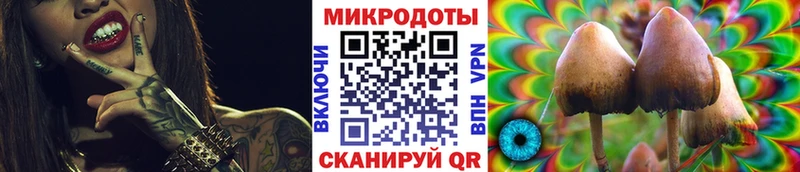 сколько стоит  Балашиха  Псилоцибиновые грибы MAGIC MUSHROOMS 